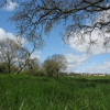 Save 'The Meads' from Development